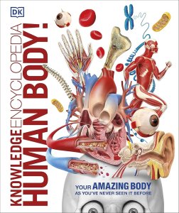 Knowledge Encyclopedia Human Body! - Dorling Kindersley